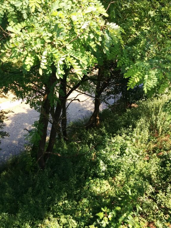 Casetta Next To The Creek Dino Buzzati Belluno Quarto foto